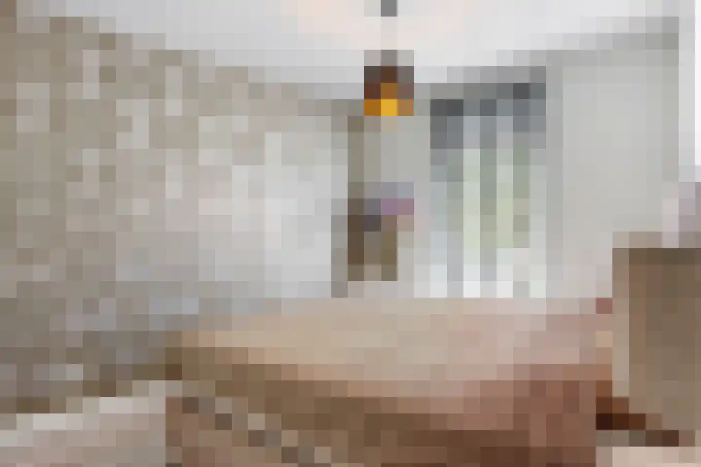 Nieuwe Tielseweg 90 Tiel thumbnail 18