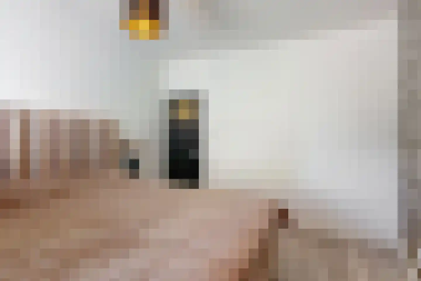 Nieuwe Tielseweg 90 Tiel thumbnail 19