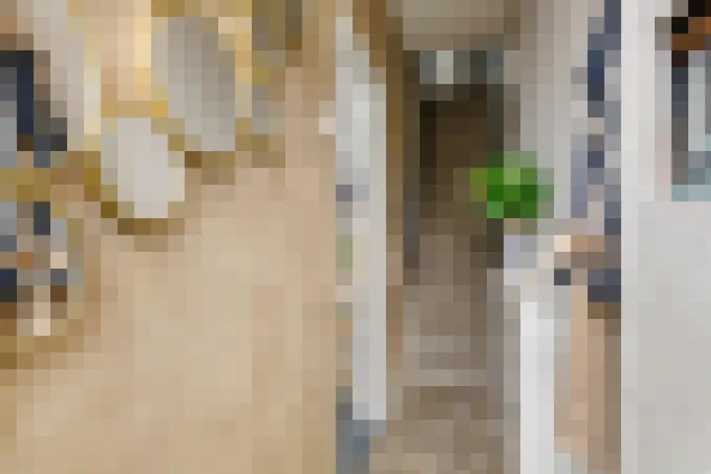 Nieuwe Tielseweg 90 Tiel thumbnail 19