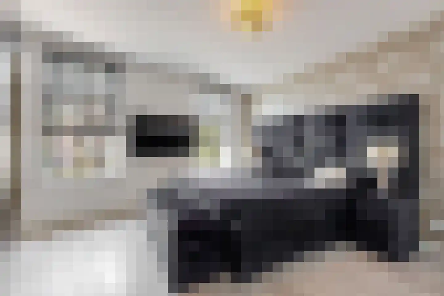 Nieuwe Tielseweg 90 Tiel thumbnail 20