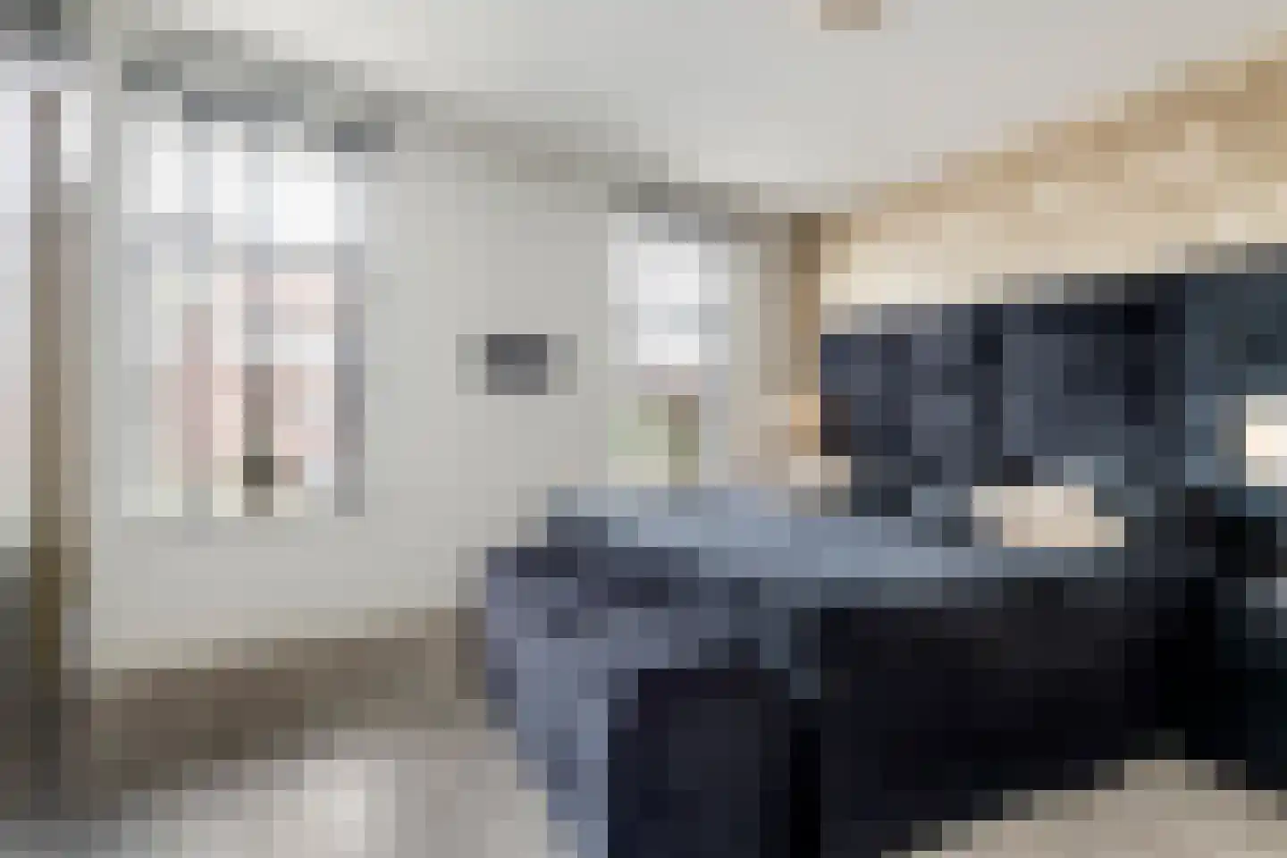 Nieuwe Tielseweg 90 Tiel thumbnail 21
