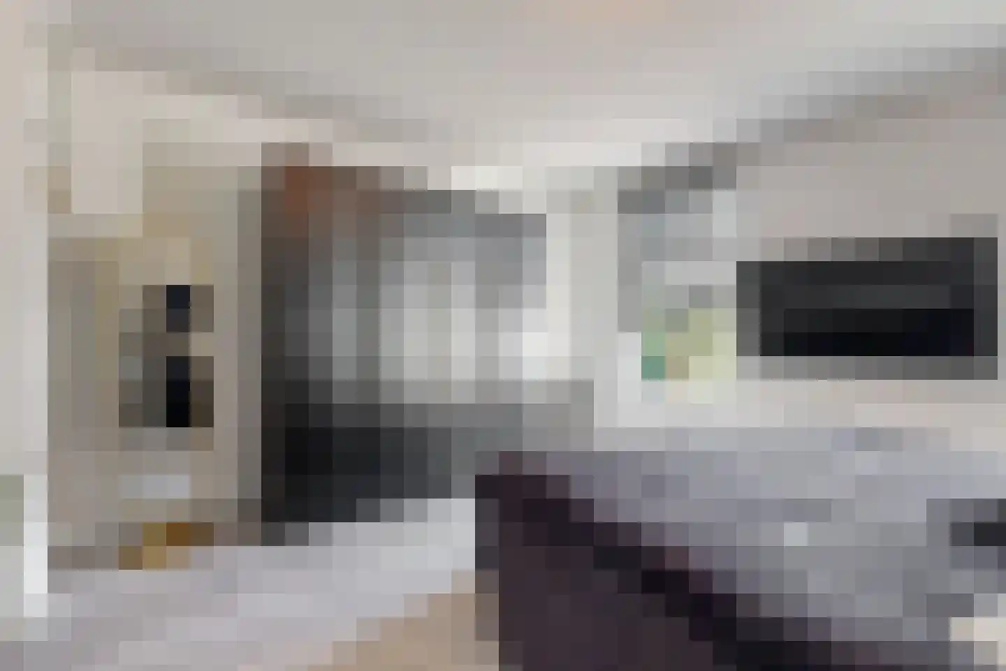 Nieuwe Tielseweg 90 Tiel thumbnail 21