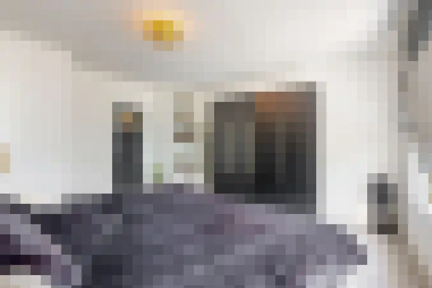 Nieuwe Tielseweg 90 Tiel thumbnail 22