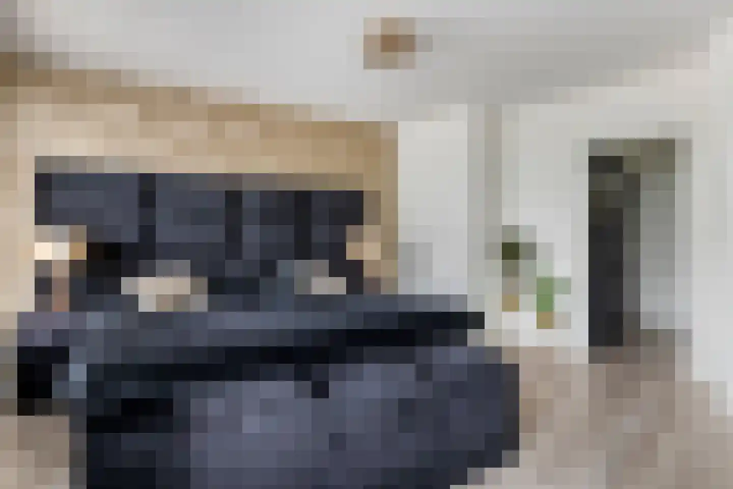 Nieuwe Tielseweg 90 Tiel thumbnail 22