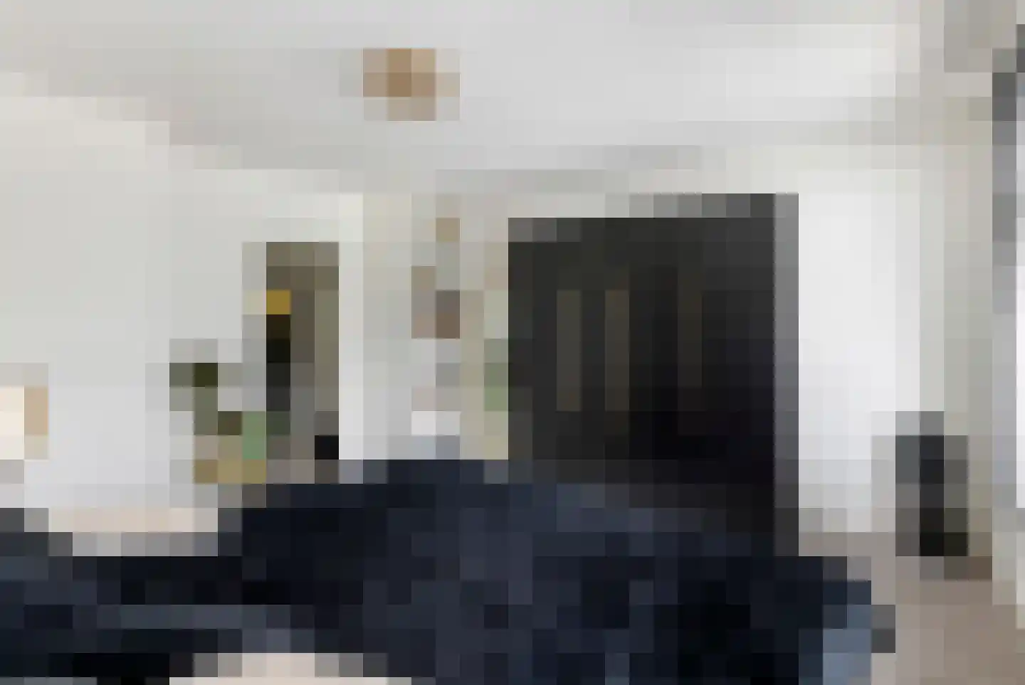 Nieuwe Tielseweg 90 Tiel thumbnail 24