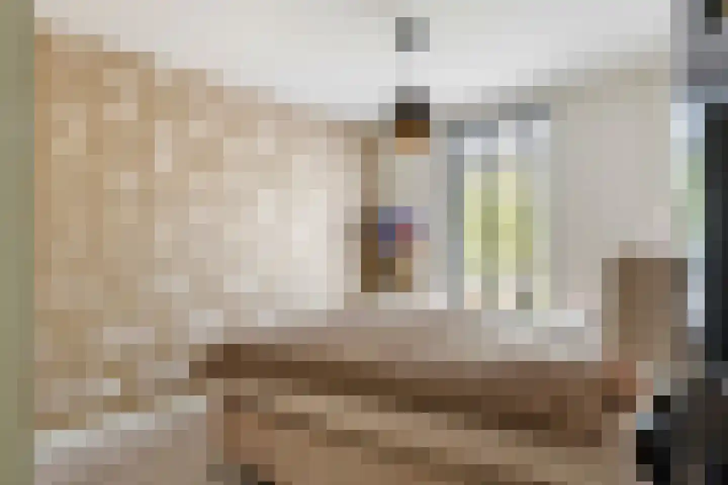 Nieuwe Tielseweg 90 Tiel thumbnail 25
