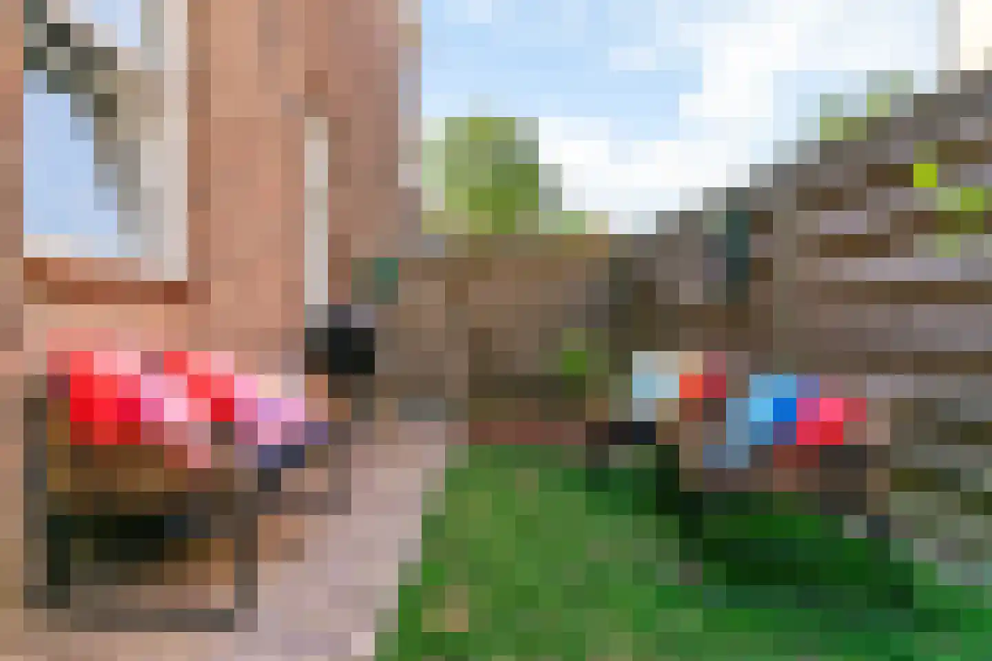 Nieuwe Tielseweg 90 Tiel thumbnail 26