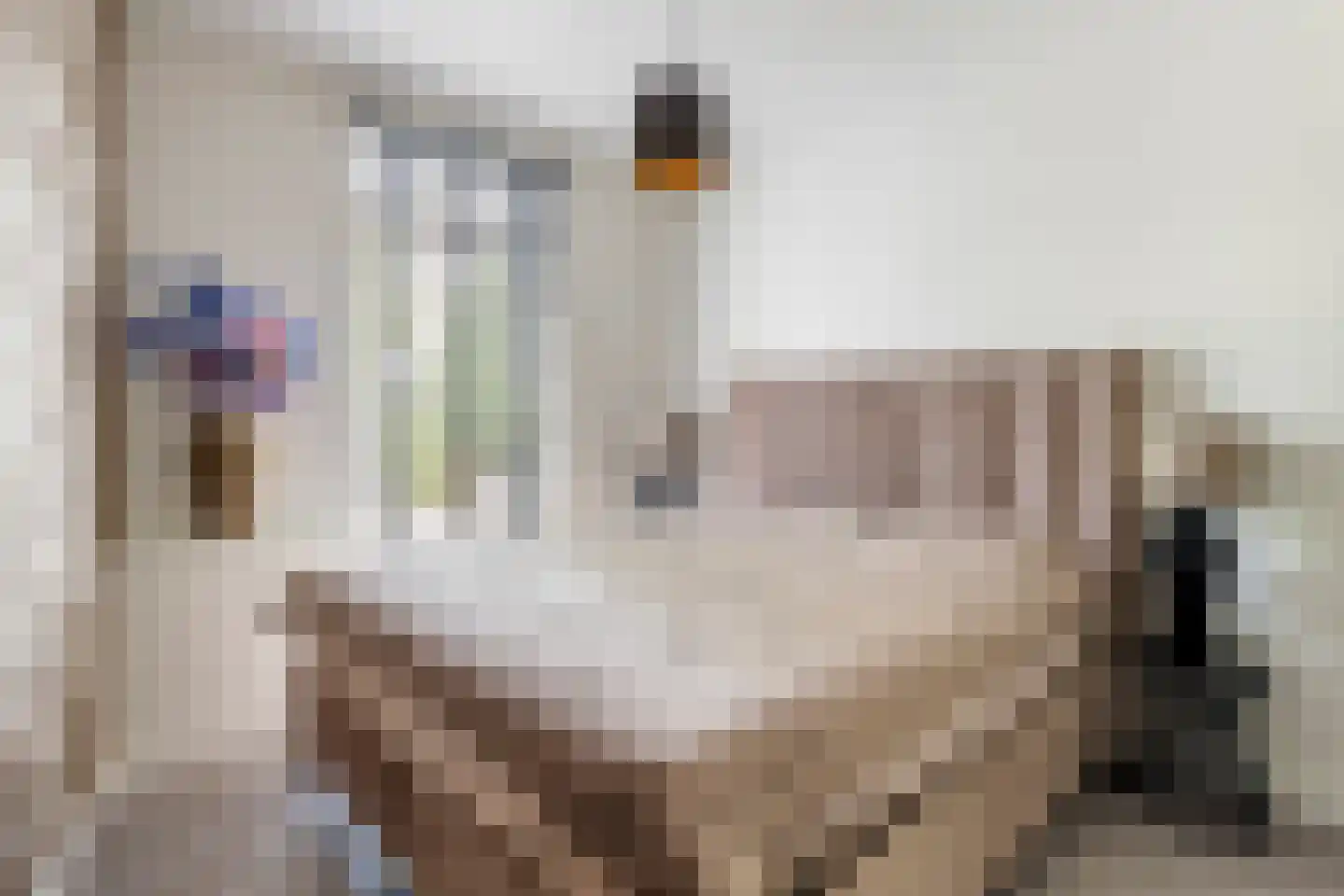 Nieuwe Tielseweg 90 Tiel thumbnail 26