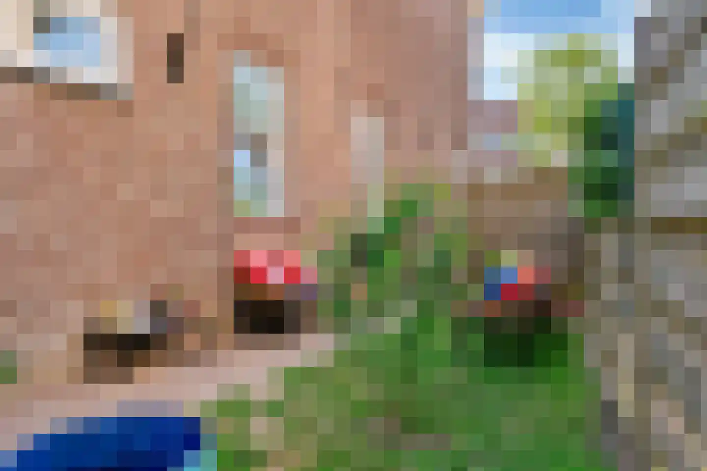 Nieuwe Tielseweg 90 Tiel thumbnail 29