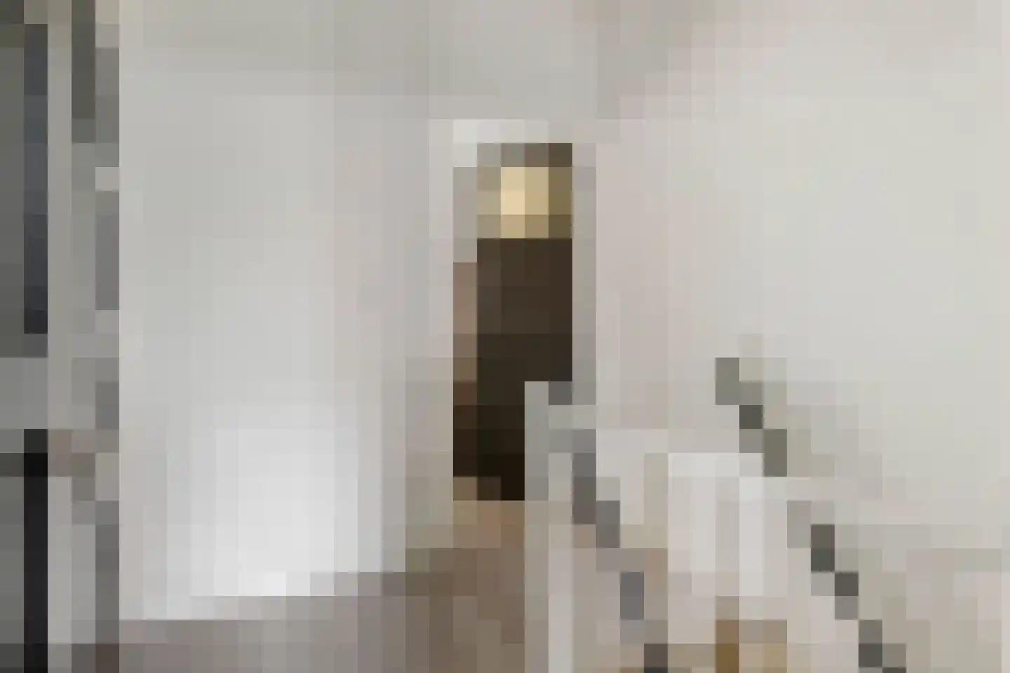 Nieuwe Tielseweg 90 Tiel thumbnail 31