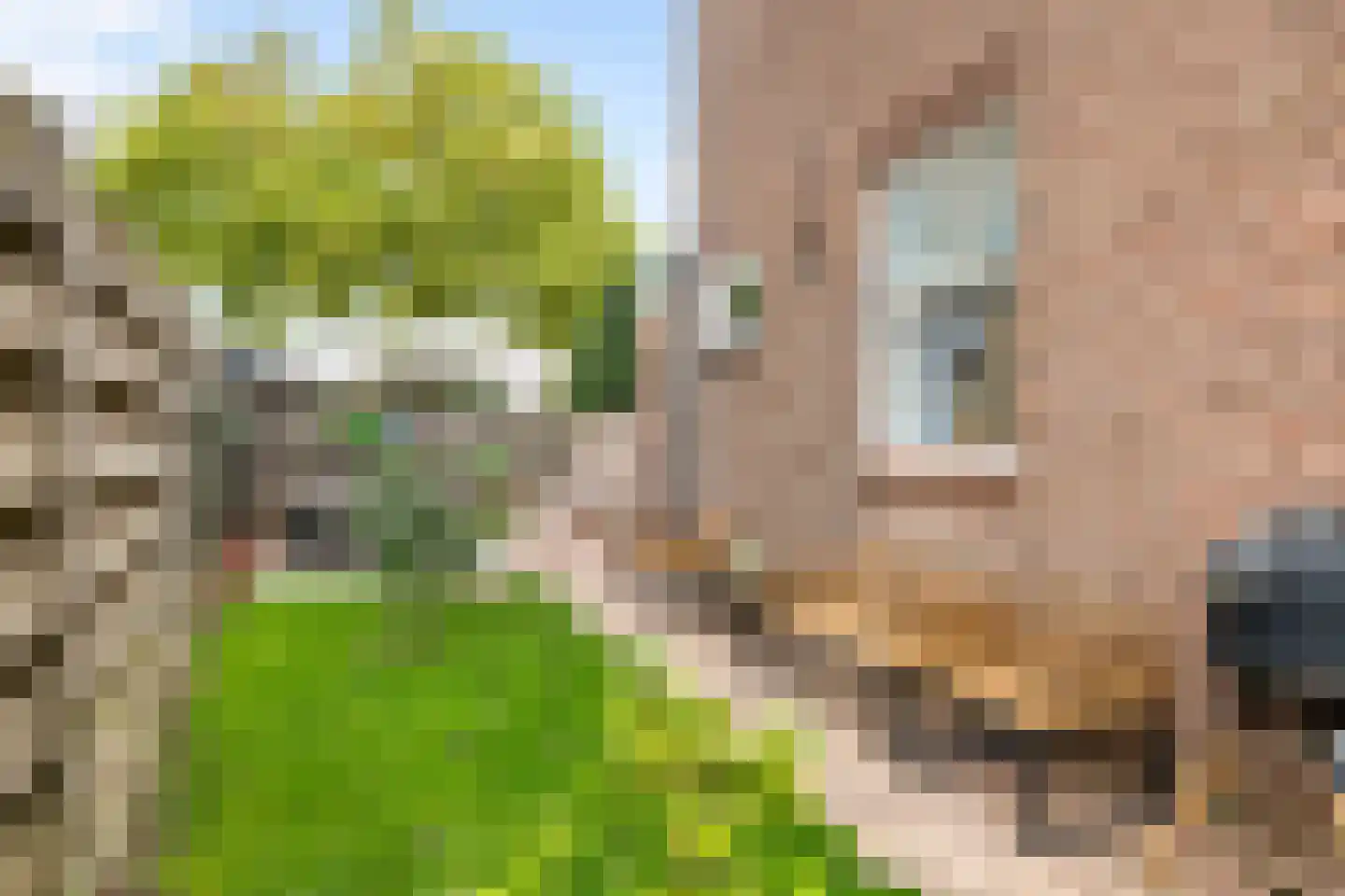 Nieuwe Tielseweg 90 Tiel thumbnail 32