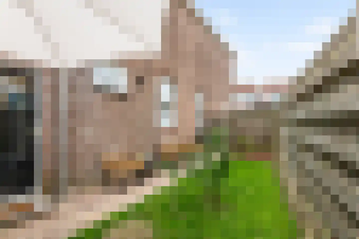Nieuwe Tielseweg 90 Tiel thumbnail 33