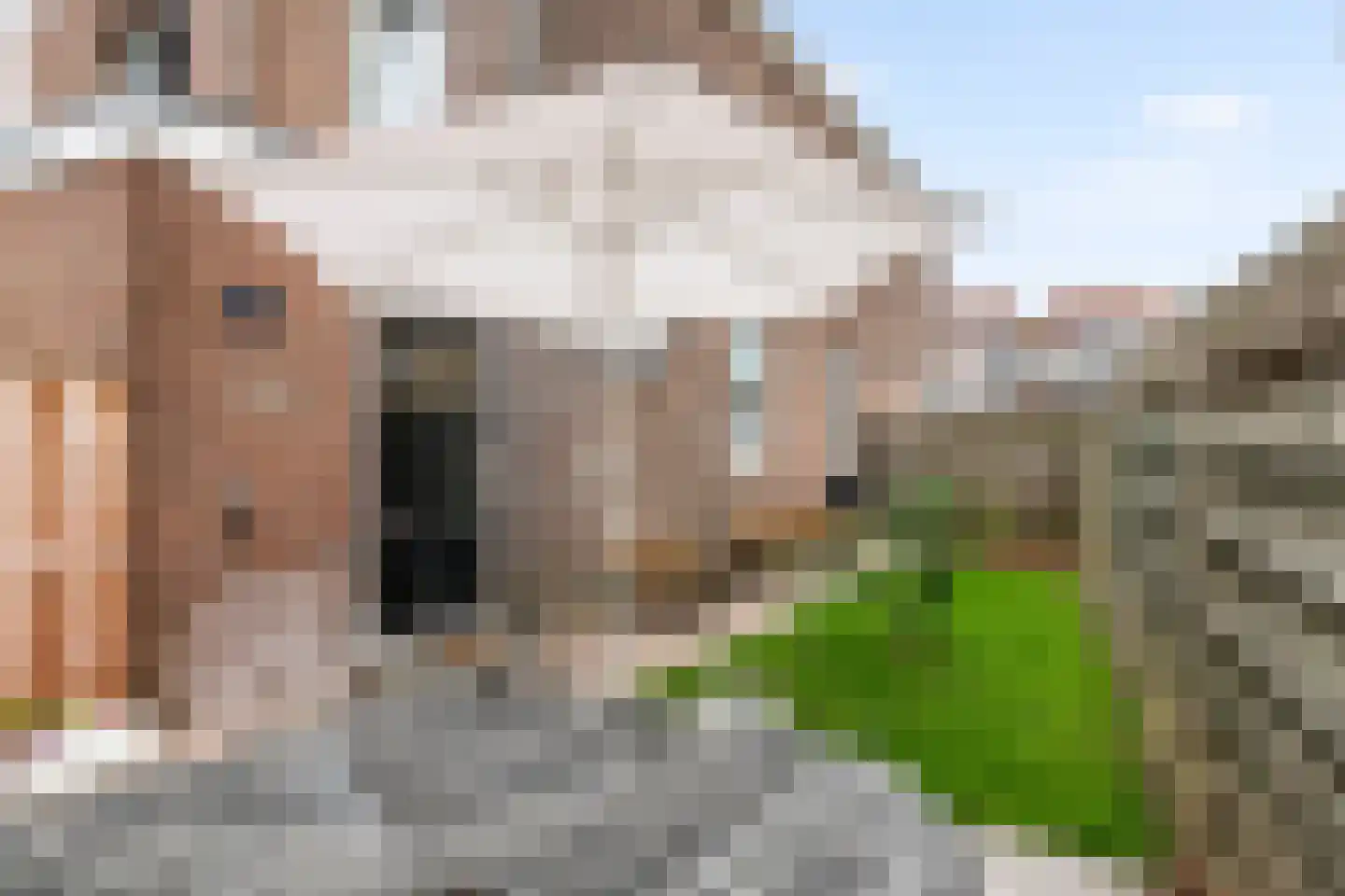 Nieuwe Tielseweg 90 Tiel thumbnail 34