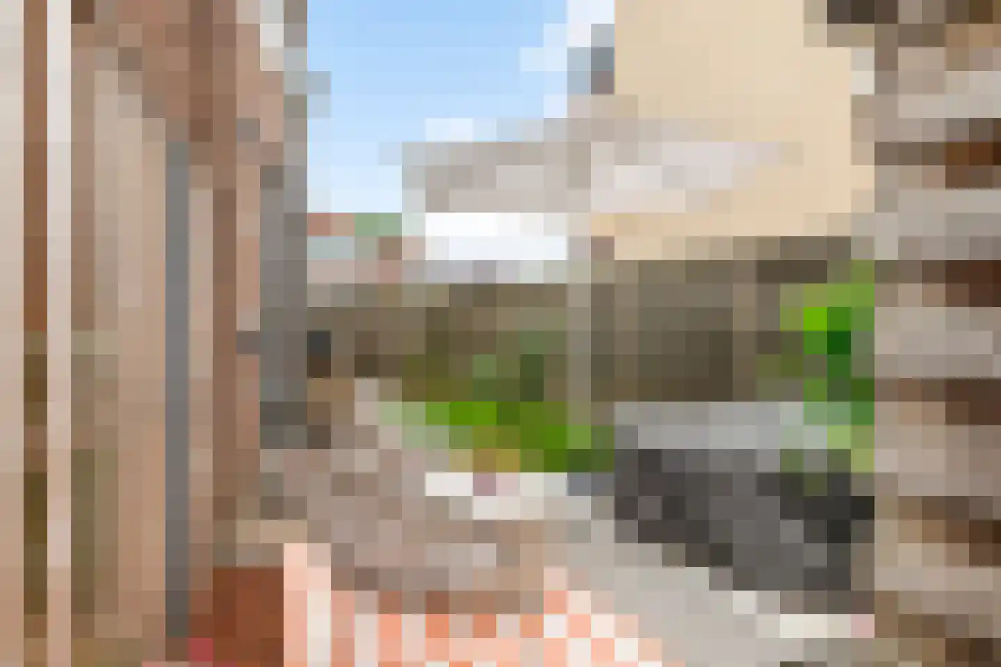 Nieuwe Tielseweg 90 Tiel thumbnail 35