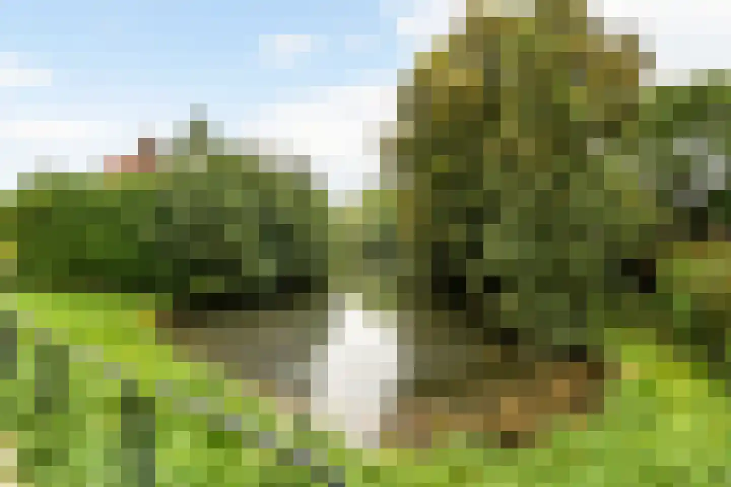 Nieuwe Tielseweg 90 Tiel thumbnail 37