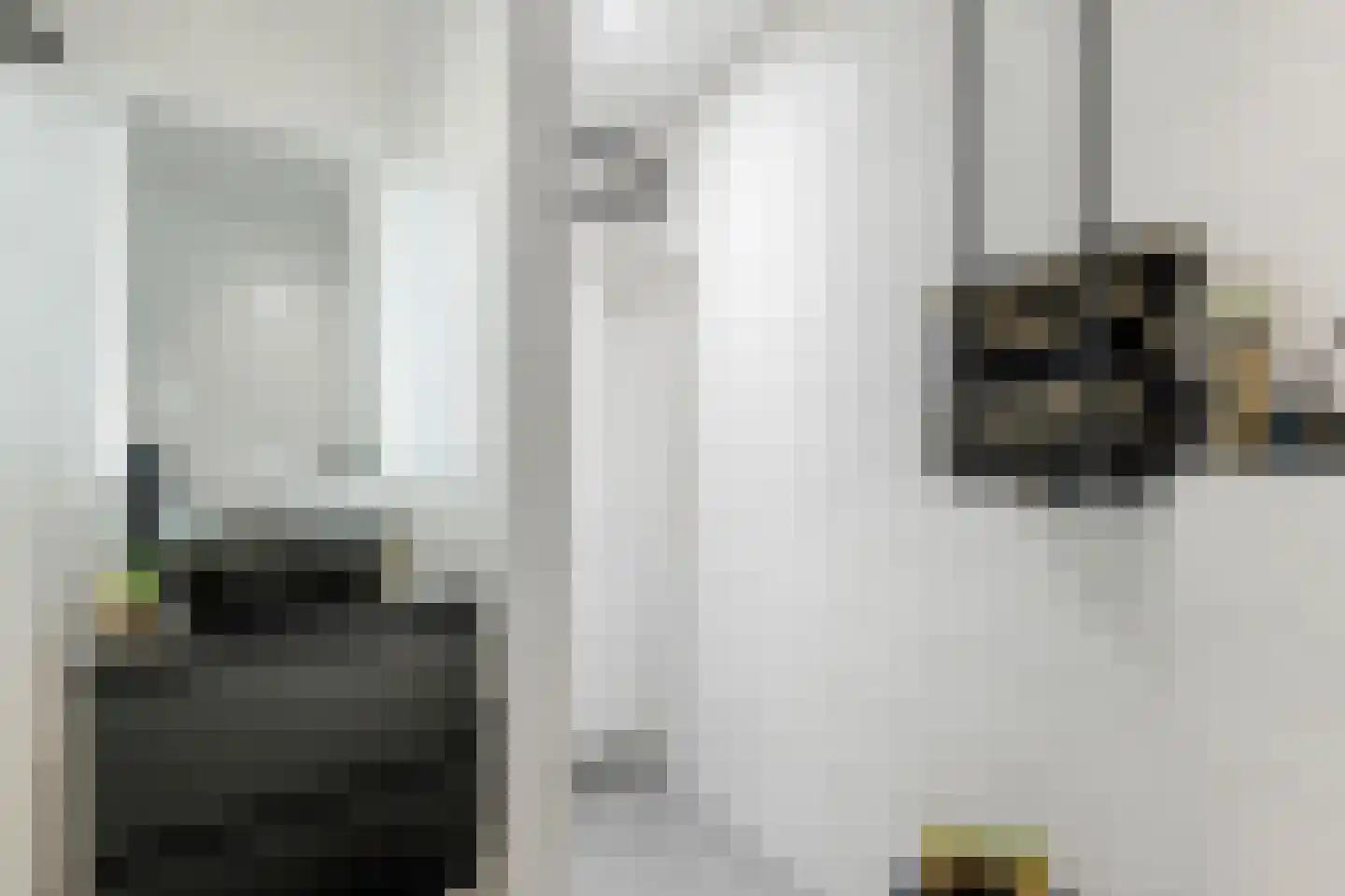 Nieuwe Tielseweg 90 Tiel thumbnail 4