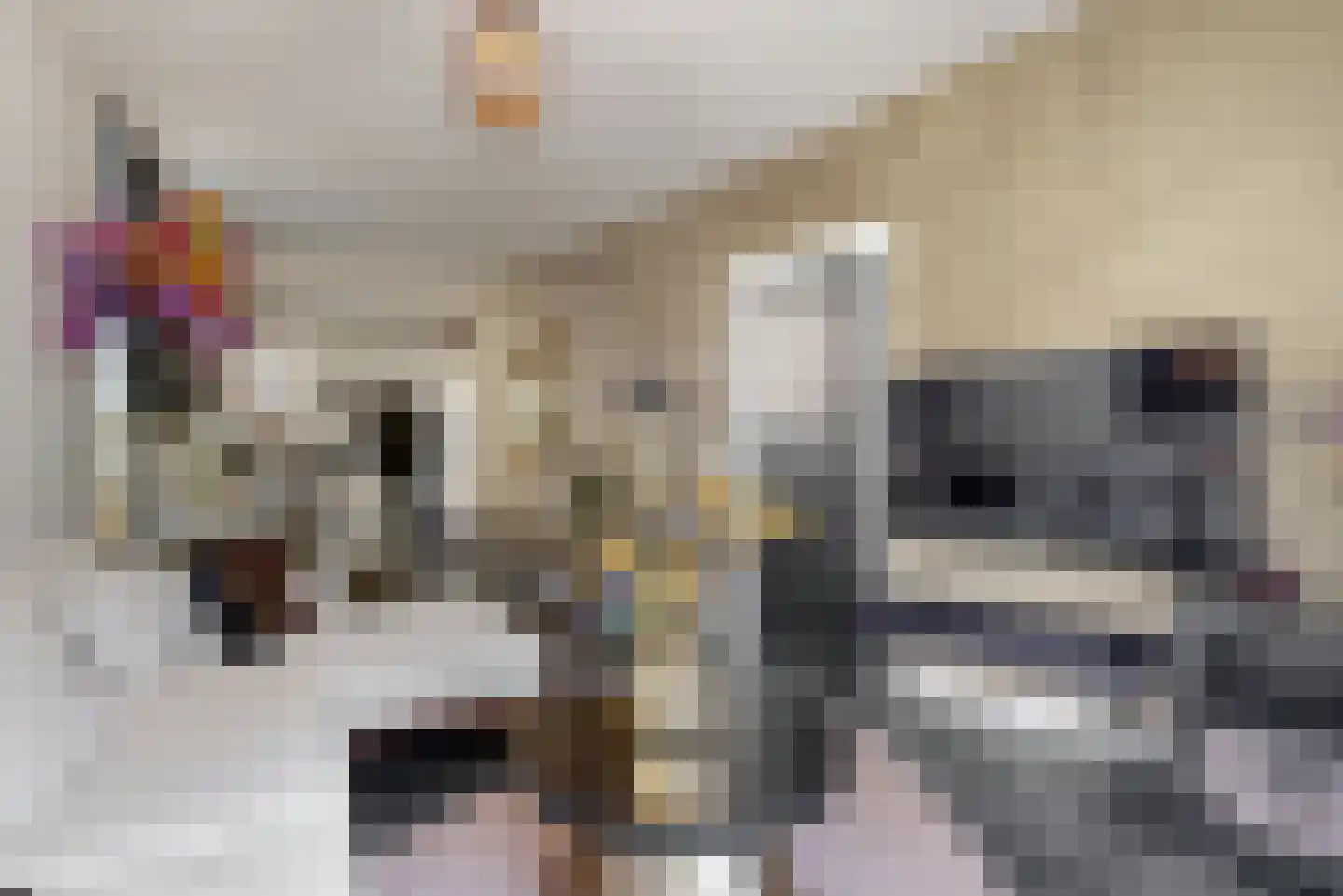 Nieuwe Tielseweg 90 Tiel thumbnail 5