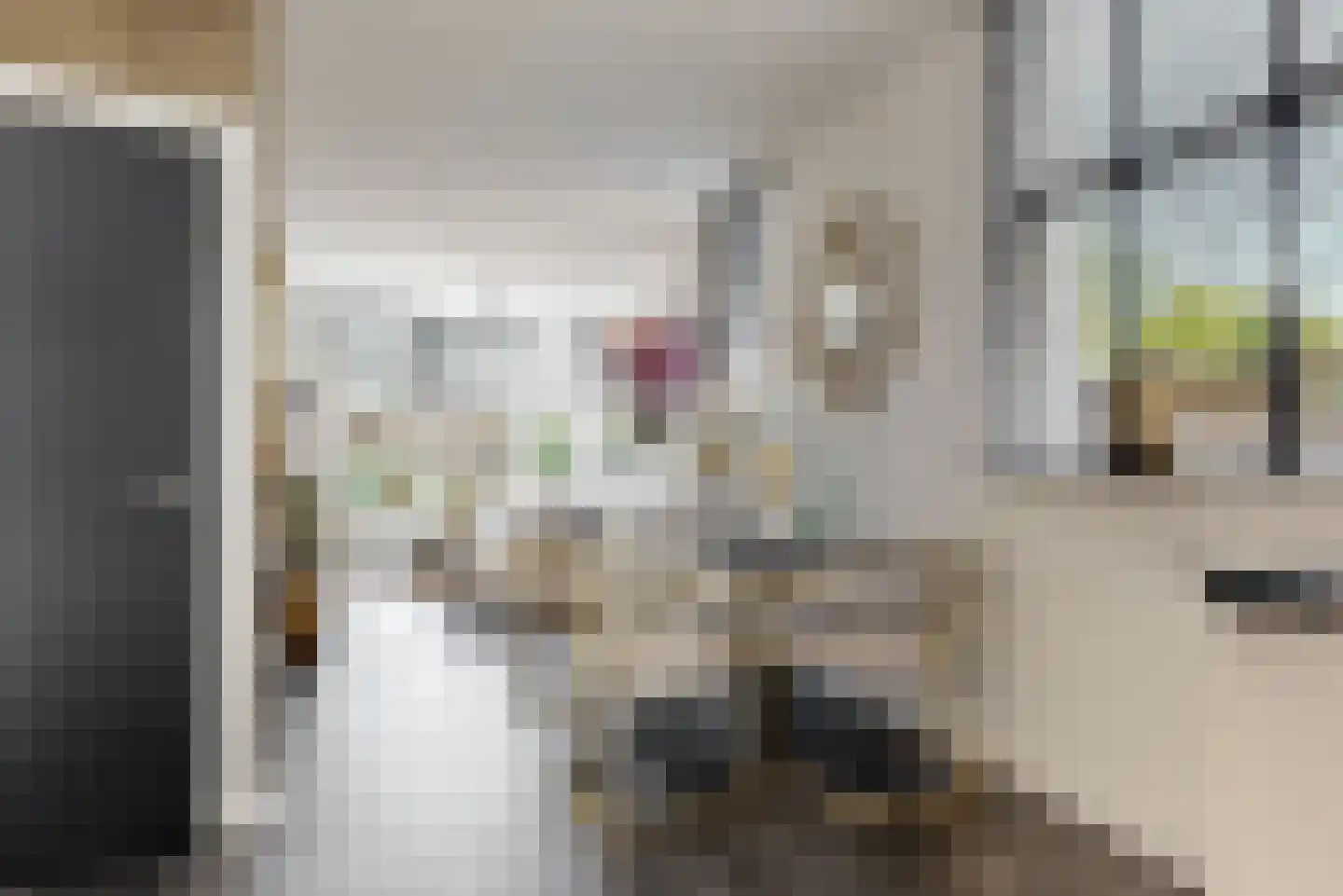 Nieuwe Tielseweg 90 Tiel thumbnail 8