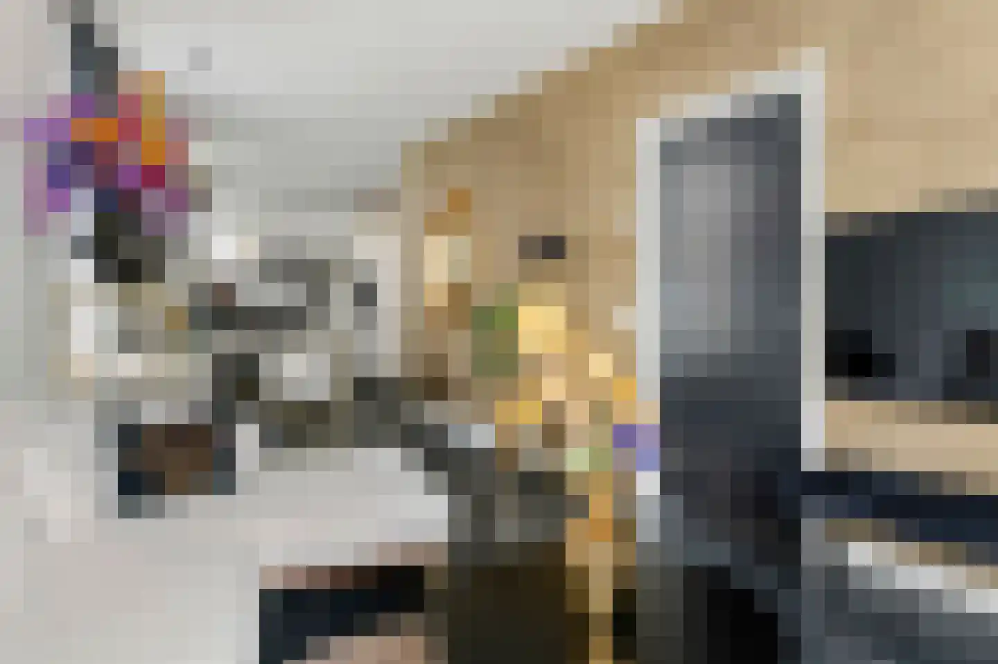 Nieuwe Tielseweg 90 Tiel thumbnail 8