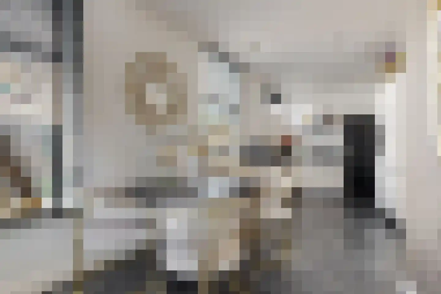 Nieuwe Tielseweg 90 Tiel thumbnail 9