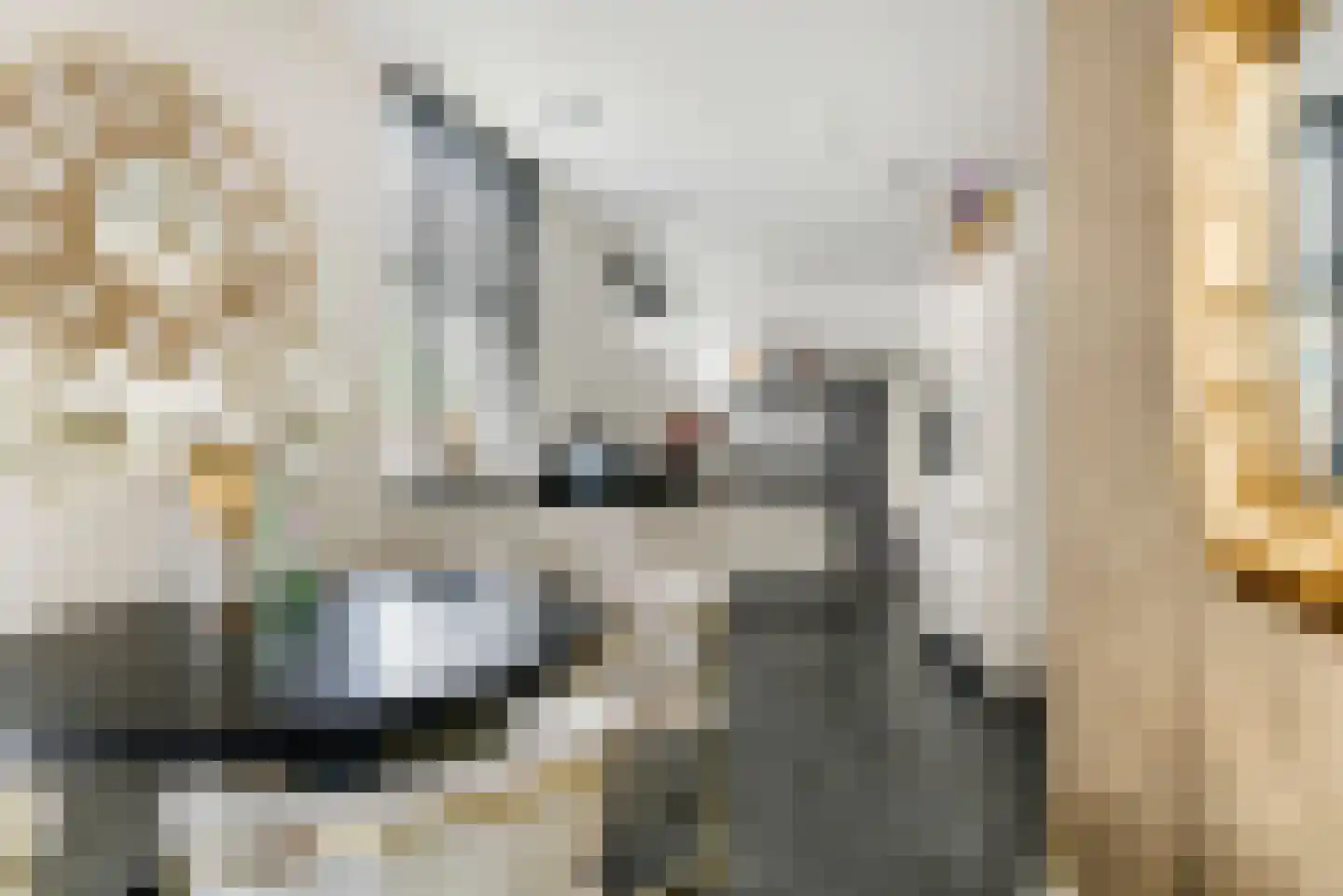 Nieuwe Tielseweg 90 Tiel thumbnail 9