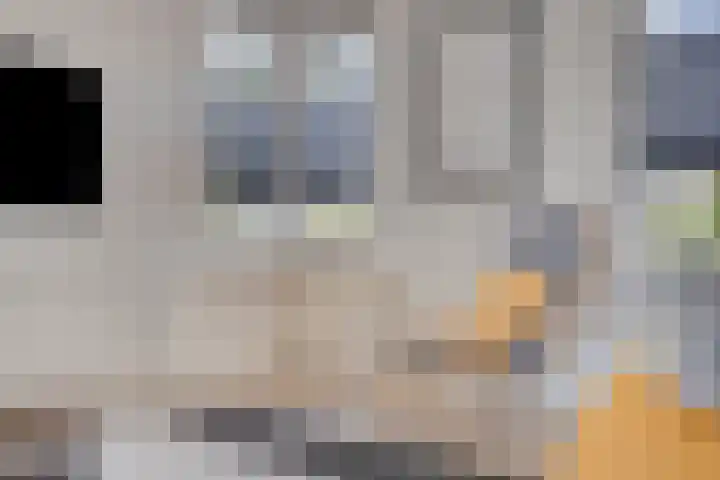 Nieuwe Tijningen 101 Zaltbommel thumbnail 10