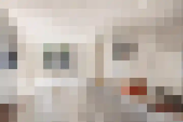 Nieuwe Tijningen 101 Zaltbommel thumbnail 11