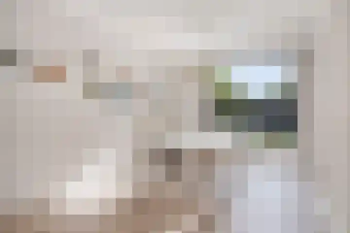 Nieuwe Tijningen 101 Zaltbommel thumbnail 12