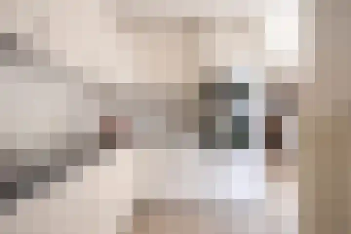 Nieuwe Tijningen 101 Zaltbommel thumbnail 15