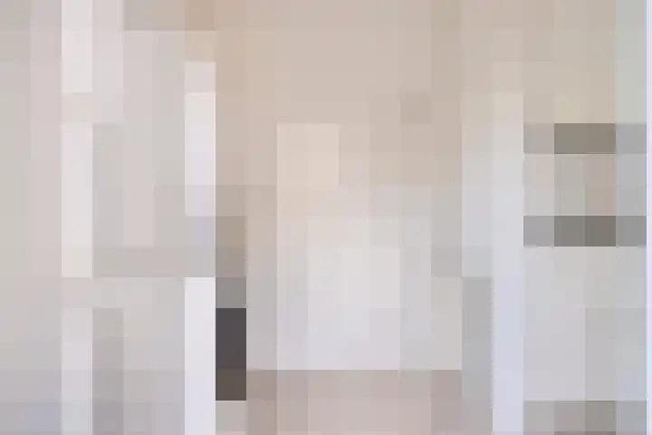 Nieuwe Tijningen 101 Zaltbommel thumbnail 16