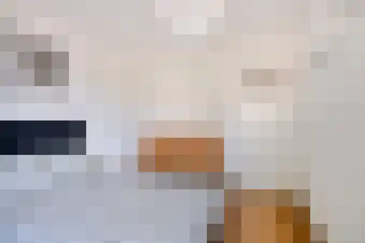 Nieuwe Tijningen 101 Zaltbommel thumbnail 19