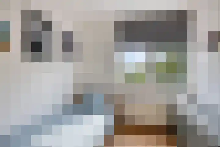 Nieuwe Tijningen 101 Zaltbommel thumbnail 20