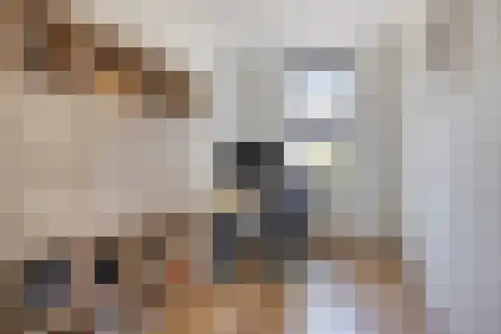 Nieuwe Tijningen 101 Zaltbommel thumbnail 21