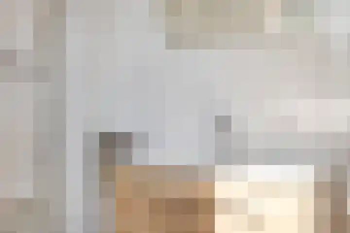 Nieuwe Tijningen 101 Zaltbommel thumbnail 23