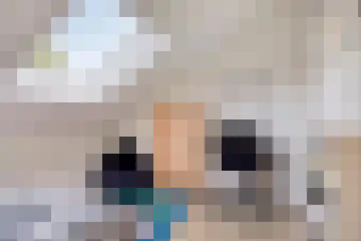Nieuwe Tijningen 101 Zaltbommel thumbnail 26