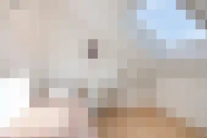 Nieuwe Tijningen 101 Zaltbommel thumbnail 27