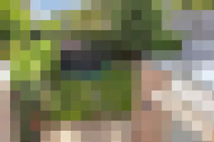 Nieuwe Tijningen 101 Zaltbommel thumbnail 28