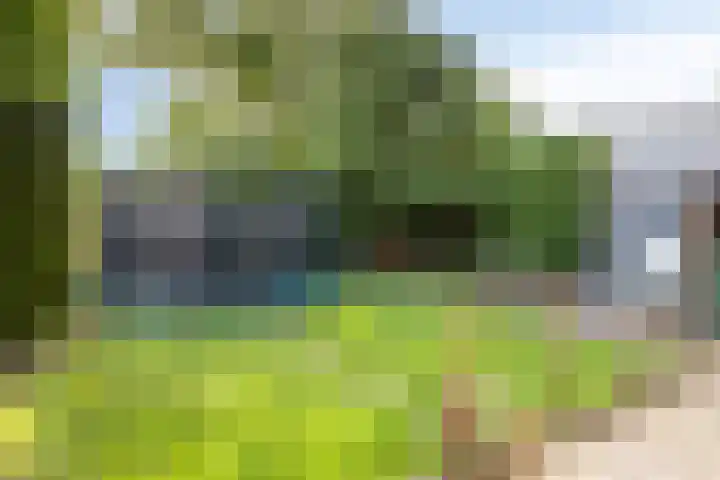Nieuwe Tijningen 101 Zaltbommel thumbnail 29