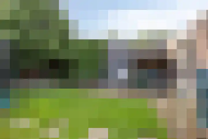 Nieuwe Tijningen 101 Zaltbommel thumbnail 30