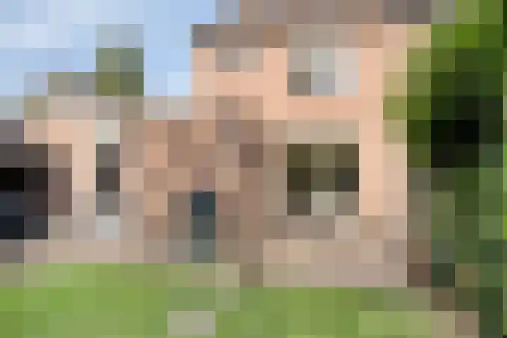 Nieuwe Tijningen 101 Zaltbommel thumbnail 31