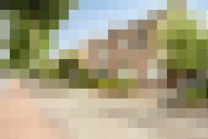 Nieuwe Tijningen 101 Zaltbommel thumbnail 33
