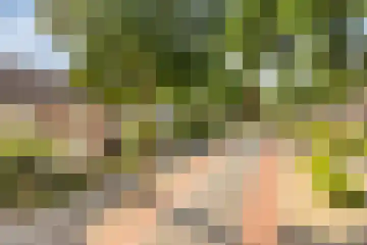 Nieuwe Tijningen 101 Zaltbommel thumbnail 34