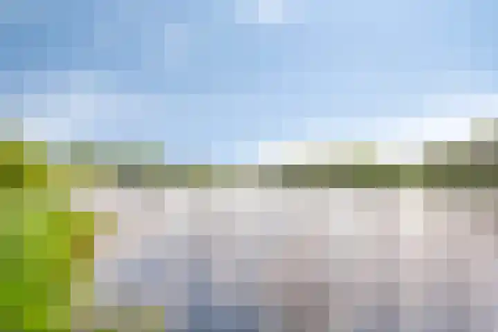Nieuwe Tijningen 101 Zaltbommel thumbnail 35