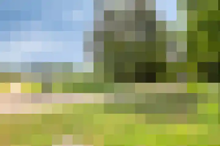 Nieuwe Tijningen 101 Zaltbommel thumbnail 36
