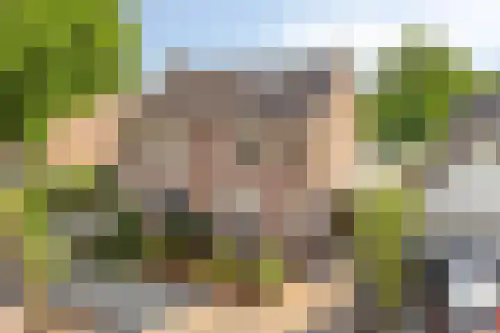 Nieuwe Tijningen 101 Zaltbommel thumbnail 4