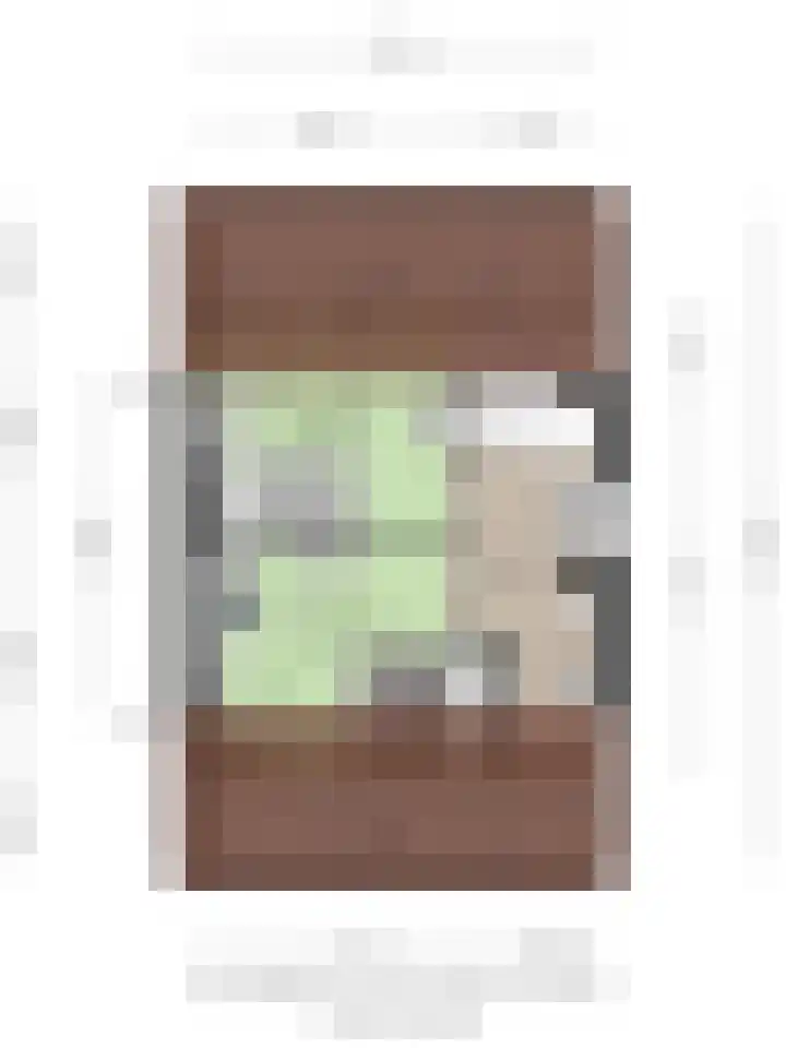 Nieuwe Tijningen 101 Zaltbommel thumbnail 40