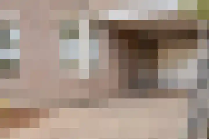 Nieuwe Tijningen 101 Zaltbommel thumbnail 6