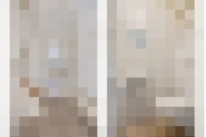 Nieuwe Tijningen 101 Zaltbommel thumbnail 7