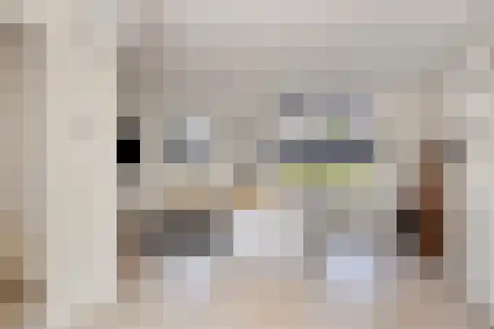 Nieuwe Tijningen 101 Zaltbommel thumbnail 8