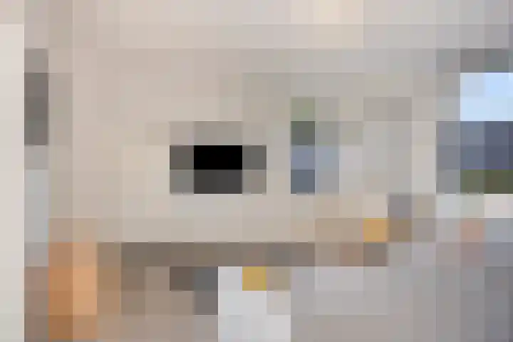 Nieuwe Tijningen 101 Zaltbommel thumbnail 9